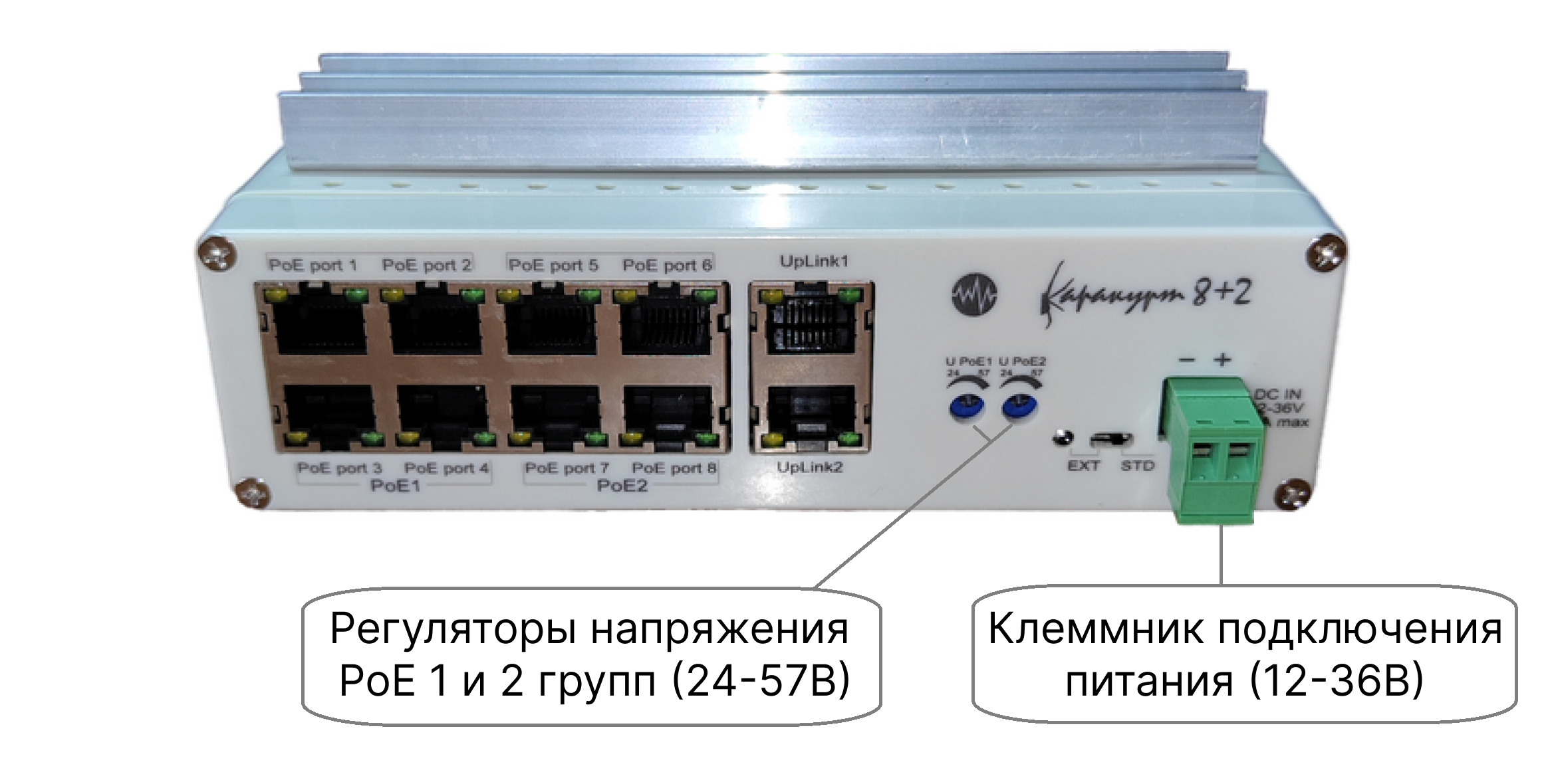 Каракурт 8+2